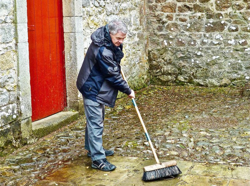 Yard Cleaning